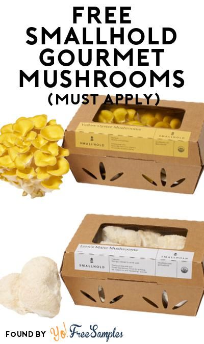 FREE Smallhold Gourmet Mushrooms At Social Nature (Must Apply) https://yofreesamples.com/food-samples/free-smallhold-gourmet-mushrooms-at-social-nature-must-apply/ Mushroom Packaging Design, Mushroom Business, Mushroom Packaging, Gourmet Mushrooms, Food Samples, Mushroom Cultivation, Grow Kit, Packaging Ideas, Free Stuff