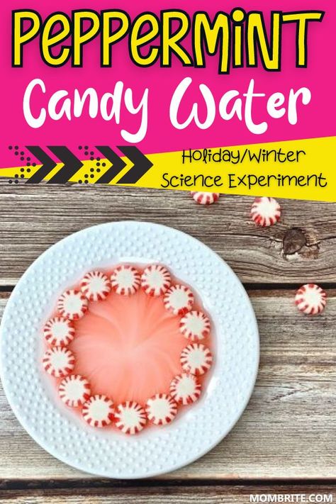 Nothing speaks "holiday" and "Christmas" so much as Peppermint Candy! In this Peppermint Candy Water Science Experiment, your kids will love seeing it dissolve in water while enjoying their food science experiment! Peppermint Experiment, Christmas Experiments, December Stem, Holiday Stem Activities, Food Science Experiments, Skittles Experiment, Peppermint Water, Stem Christmas, Candy Experiments