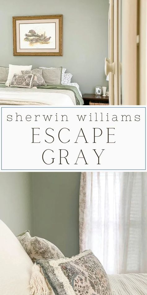 If you're on the hunt for a calming yet stylish color, you’ve got to check out Sherwin Williams Escape Gray! This green-gray shade is super versatile and perfect for any room. Whether you're thinking about an Escape Gray bedroom makeover or sprucing up your kitchen, this color is a game-changer. I’m obsessed with the Escape Gray color palette and all the cool paint color ideas. Trust me, your living room will look amazing. Give it a try and let me know what you think! Sage Gray Bedroom, Gray Green Bedroom, Escape Gray Sherwin Williams Bedrooms, Perfect Green Grey Paint, Warm Gray Green Paint Colors, Cool Green, Escape Gray Sherwin Williams, Medium Green Gray Paint Colors, Green Gray Paint Colors