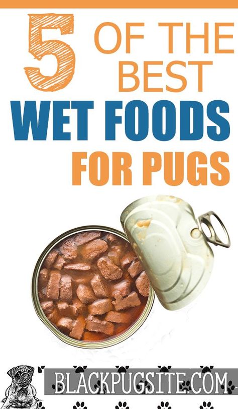 Check out some of the best wet dog food for Pugs. Best Wet Dog Food, Wet Food For Dogs, Food For Seniors, Pug Food, Pug Accessories, Black Pug Puppies, Baby Pugs, Wet Dog, Dog Food Brands