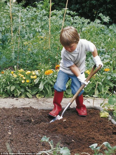 If you are lucky enough to have a large garden, your children will take great pleasure in having their own vegetable patch. It's a great way for them to learn about nature and food. Farm Lifestyle, Children's Garden, Family Garden, Fostering Children, Kew Gardens, Sleeve Tattoo, Autumn Garden, Gardening For Kids, Shade Garden