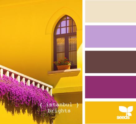 Palettes Color, Seeds Color, Purple Color Palettes, Yellow And Purple, Design Seeds, Color Palette Design, Color Balance, Color Harmony, Colour Schemes