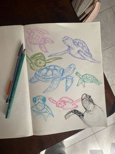 Sea Turtle Sketch, Aesthetic Turtle, Drawing Ocean, Turtle Sketch, Ocean Turtle, Turtle Drawing, Photos Of People, Hilarious Photos, Sea Turtles