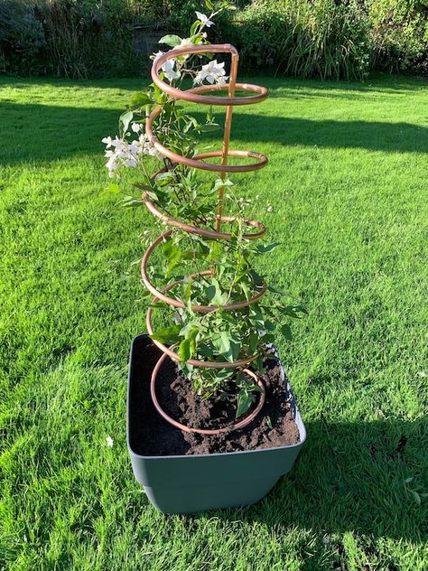 Copper Plant Trellis, Hops Trellis, Spilled Flower Pot Ideas, Spilled Flower Pot, Pot Trellis, Gardening Design Diy, Copper Plant, Climbing Plant Support, Plant Trellis