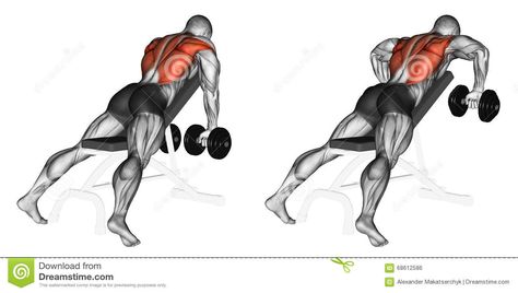 Exercising. Incline Bench Two Arm Dumbbell Row - Download From Over 62 Million High Quality Stock Photos, Images, Vectors. Sign up for FREE today. Image: 68612586 Dumbbell Row, Best Dumbbell Exercises, Fitness Studio Training, Workout Hiit, T Bar Row, Gym Antrenmanları, Incline Bench, Back And Biceps, Bodybuilding Training