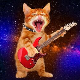 Seni Pop, Nyan Cat, Silly Cats Pictures, Cat Boarding, Silly Animals, Funny Cute Cats, Orange Cat, Silly Cats, Playing Guitar