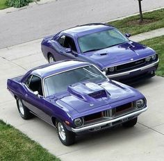 Barracuda  Barracuda Dodge Barracuda, Plymouth Cuda, Old Muscle Cars, Decisions Decisions, Dodge Muscle Cars, Auto Retro, Mopar Cars, Mopar Muscle Cars, Plymouth Barracuda