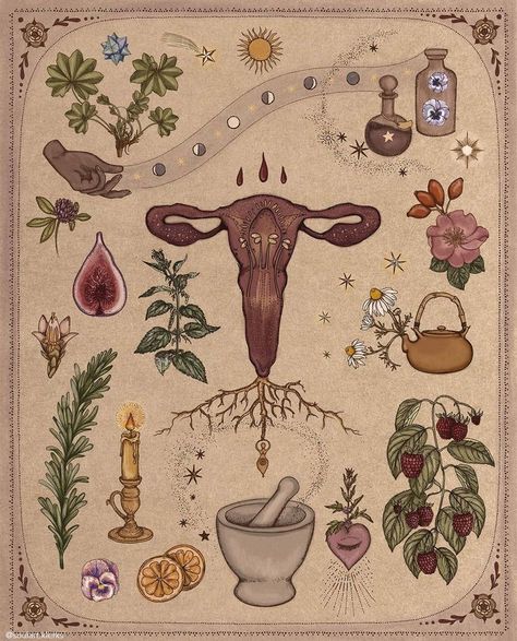 artipoppe.com Hormonal Health, Medicine Woman, Sacred Feminine, Season Of The Witch, Arte Inspo, Witch Art, Witch Aesthetic, Green Witch, Witchy Vibes