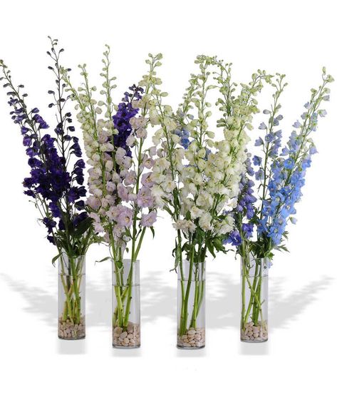 Tall Vase Flower Arrangements, Glass Vases Centerpieces, Tall Glass Vase, Delphinium Flowers, Walter Knoll, Glass Cylinder Vases, Flower Vase Arrangements, River Rocks, Tall Vase