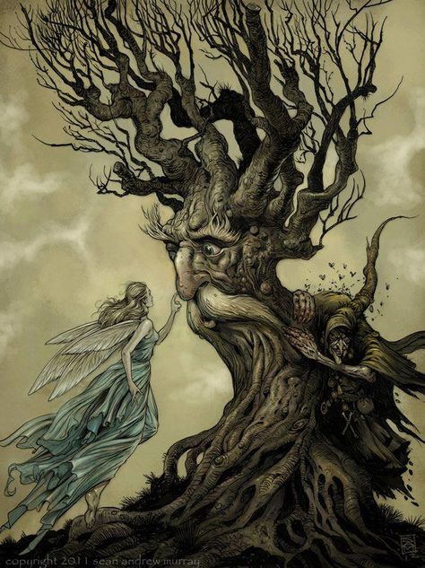 Talking Trees Tree People, Tree Spirit, Arthur Rackham, Nature Spirits, Fantasy Images, Fairytale Art, Arte Fantasy, Fairy Art, Magical Creatures