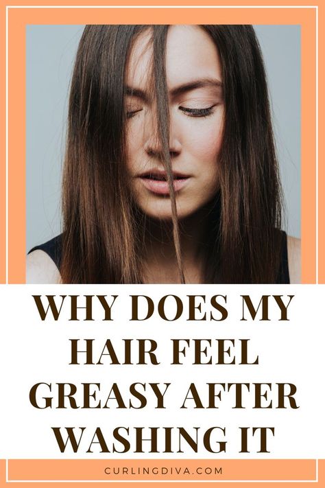 Why does my hair feel greasy after washing it Why Is My Hair Greasy After Washing It, How To Wash Thick Hair, How To Deal With Greasy Hair, Why Does My Hair Get Greasy So Fast, How To Get Rid Of Greasy Hair, Greasy Bangs, Greasy Hair Remedies, Hair Stripping, Washing Your Hair