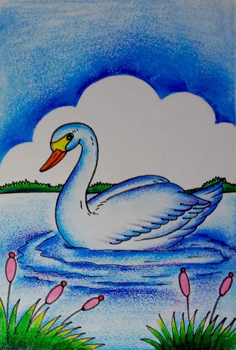 Drawing For 5th Class Student, Scenary Drawings For Kids, Drawing Ideas Easy With Color, Duck Drawing For Kids, Pencil Colour Drawing, Super Easy Drawings, Drawing Pictures For Kids, Swan Drawing, Scenery Drawing For Kids