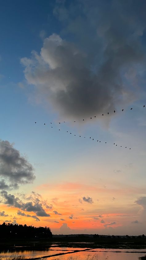 #sky #evening #kerala #wallpaper #skylovers #birds #flying #loveyourself Kerala, Birds