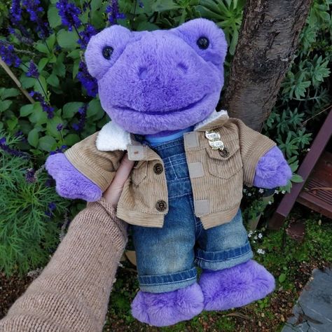 Purple Build A Bear Frog, Bab Frog Outfits, Build A Bear Frog Outfit Ideas, Build A Bear Pawlette, Build A Bear Outfit Ideas, Build A Bear Outfits Aesthetic, Build A Bear Frog Outfits, Build A Bear Ideas, Cute Build A Bears