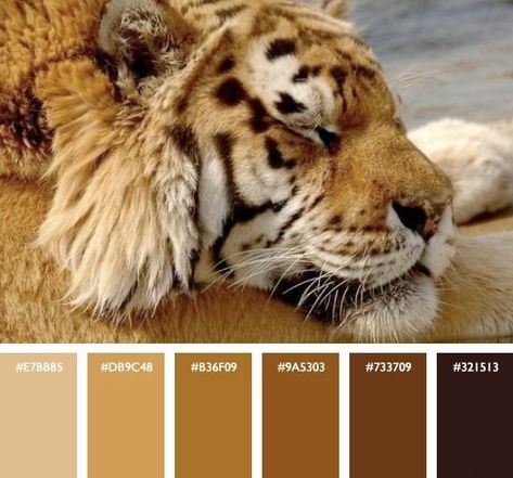 Animal Colour Palette, Tiger Mood Board, Animal Color Palette, Tiger Color Palette, Egyptian Color Palette, Cat Eye Tutorial, Tiger Color, Skin Palette, Art Design Inspiration