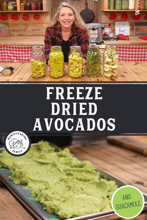 Freeze Dried Guacamole, How To Freeze Dry Fruit At Home, Freeze Dried Lemons, How To Freeze Dry Herbs, Foods To Freeze Dry, Freeze Dry Dog Food, Freeze Dried Oatmeal, Freeze Dried Butter, Freeze Dried Tomatoes