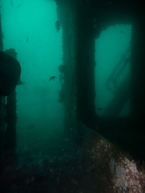 Scary Ocean Pictures, Deep Sea Scary, Spooky Ocean Aesthetic, Thalassophobia Scary Underwater, Creepy Sea Aesthetic, Sea Horror Aesthetic, Dark Underwater Aesthetic, Creepy Aquarium, North Sea Aesthetic