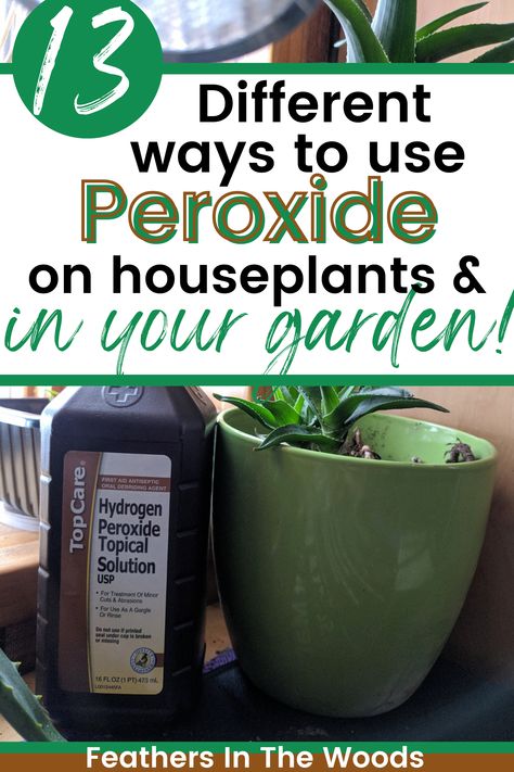 uses for peroxide in the garden Peroxide Uses, Hydrogen Peroxide Uses, Tattoo Plant, Garden Remedies, Plant Pests, Plant Fungus, Root Rot, Survival Gardening, Hydrogen Peroxide