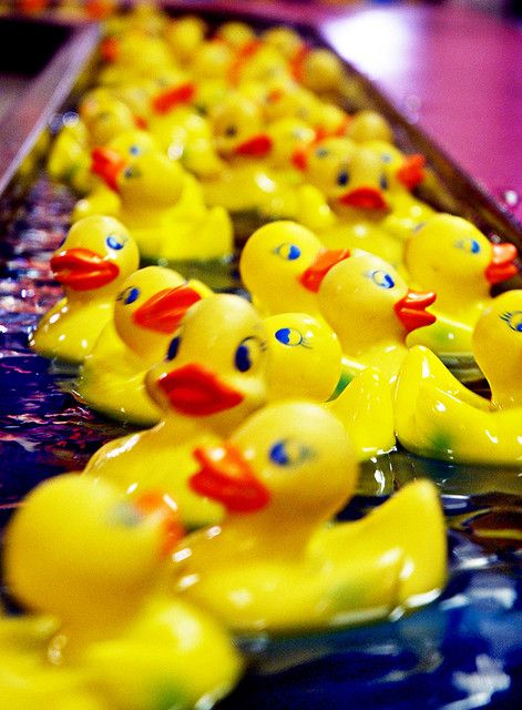 carnival duck pond games | Pick Up Ducks Pick A Duck Carnival Game, Lucky Duck Carnival Game, Rubber Duck Race, Unique Rubber Ducks, Vintage Rubber Duck, Rubber Ducky Collection, Duck Pond, Carnival Themed Party, Event Activities