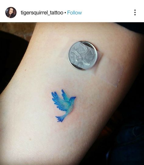 Watercolor Bluebird Tattoo, Small Blue Bird Tattoos For Women, Tiny Blue Bird Tattoo, Bluebird Tattoo Small Simple, Small Blue Bird Tattoo, Small Bluebird Tattoo, Blue Bird Tattoos For Women, Bluejay Tattoo, Lovebird Tattoo