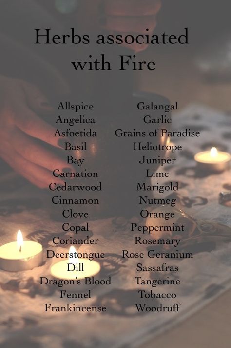 Naked Numerology on Twitter: "✨🌗🌿MAGICAL HERBS FOR MOON IN ARIES… " Defensive Magic, Moon In Aries, Scott Cunningham, Magickal Herbs, Essential Oils Collection, Green Witchcraft, Plant Magic, Witch Candles, Magic Herbs