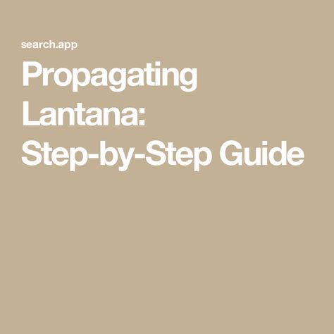 Propagating Lantana: Step-by-Step Guide Propagate Lantana, Rooting Hormone, Mini Greenhouse, Garden Flower, Plant Care, Step Guide, The Beauty, Did You Know, Step By Step