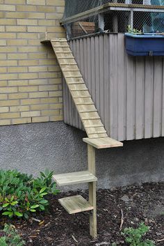 Cat Walkway, Cat Ramp, Cat Habitat, Diy Chat, Katt Grejer, Kat Diy, Cat Ladder, Cat Stairs, Cat Patio