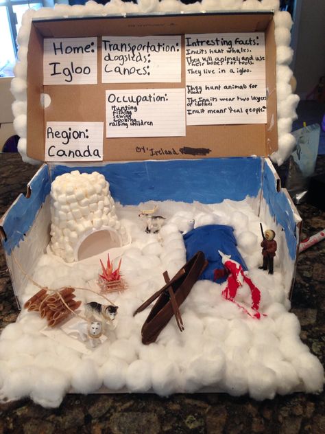 Inuit diorama Inuit Tribe School Project, Native American Igloo Project, Inuit Diorama For Kids, Native American Diaroma Ideas, Igloo Diorama, Inuit Diorama, Inuit Activities, Diaroma Ideas, Indian Project