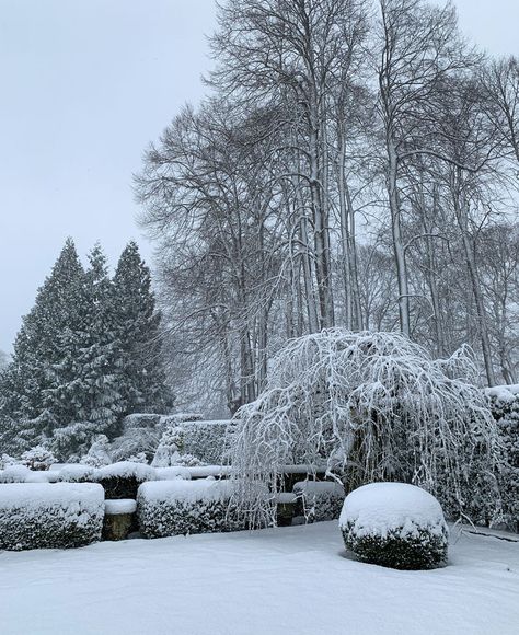 Winter Garden Snow, Snowy Garden, Snow Garden, Rose Trellis, Winter Outdoors, Wooden Roses, Rest Up, Palace Garden, Specimen Trees