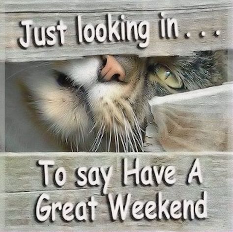 Have a great weekend quotes cute quote weekend days of the week weekend quotes happy weekend Great Weekend Quotes, Happy Saturday Quotes, Weekend Greetings, Weekend Images, Saturday Quotes, Arte Gif, Daily Greetings, Happy Weekend Quotes, Inspirerende Ord