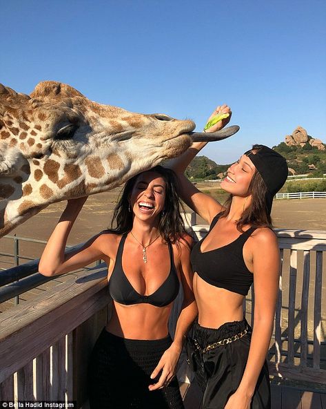 Feeding time at the zoo: The model, 21, got up close and friendly with a grumpy looking giraffe as she posed alongside the animal in a black crop top Fitness Photoshoot Poses, Hadid Sisters, Fitness Photoshoot, Bff Goals, Bestie Goals, Bff Pictures, Gal Pal, Best Friend Goals, Double Trouble