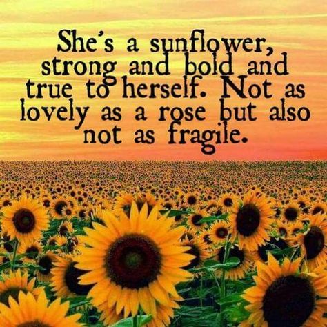 Sunflower Quotes, Hippie Quotes, Sunflower Pictures, A Quote, Cute Quotes, Great Quotes, Beautiful Words, Favorite Quotes, Wise Words