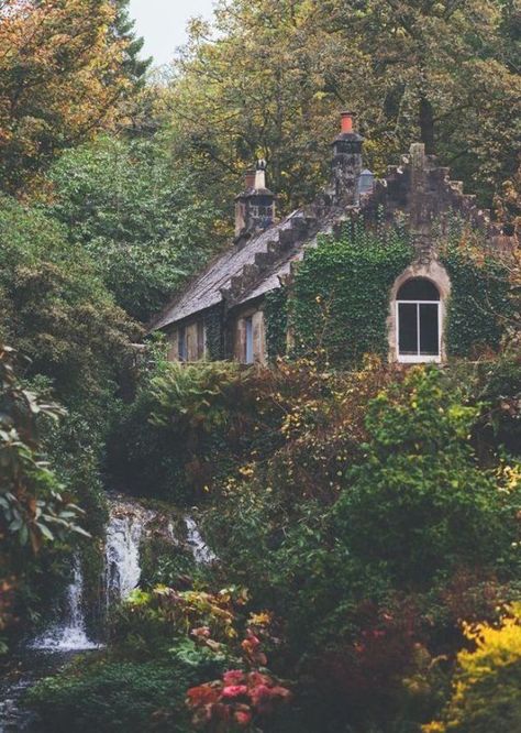 Country cottage in the Forest In The Forest Aesthetic, The Forest Aesthetic, Fall House Decor, Dream House Country, Cottage In The Forest, Fall House, Forest Cottage, House Country, Forest Aesthetic