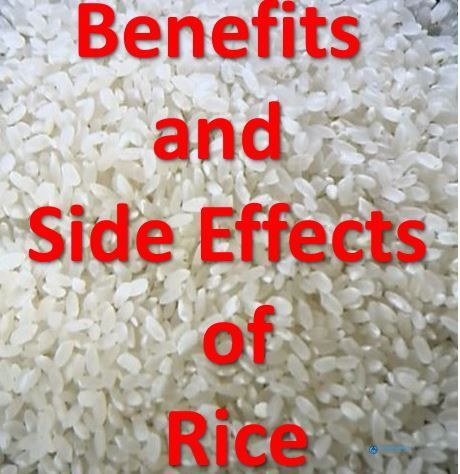 health,health benefits of red rice,brown rice health benefits,brown rice benefits,white rice,brown rice,is brown rice healthy,rice,rice benefits and side effects,brown rice side effects,health benefits,eating rice benefits and side effects,white rice benefits and side effects,red yeast rice benefits and side effects,rice porridge benefits and side effects,5 health benefits of rice water and how i prepare it,rice bran health benefits Red Yeast Rice, Red Yeast Rice Benefits, White Rice Benefits, Freezing Rice, Brown Rice Benefits, Rice Water Benefits, High Sugar Foods, Sources Of Carbohydrates, Rice Side