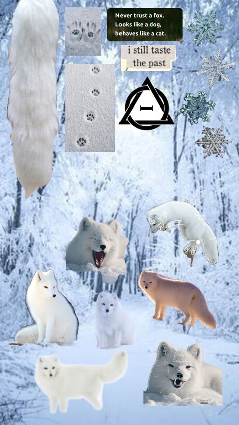 Snow Fox Therian wallpaper Fox Therian Wallpaper, Therian Wallpaper, Fox Therian, Fox Wallpaper, Like A Cat, Fox, The Past, Dogs