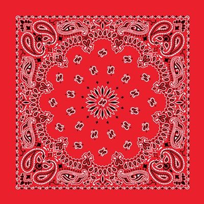 Bandannas- handy to have for keeping cool in hot environments (soaked in water); wiping off dirt, sweat, grime; & blow your nose into (bringing several along) Western Paisley, Paisley Bandana, Hem Stitch, Cotton Bandanas, Red Bandana, Bandana Scarf, Pocket Squares, Paisley Design, Paisley Pattern