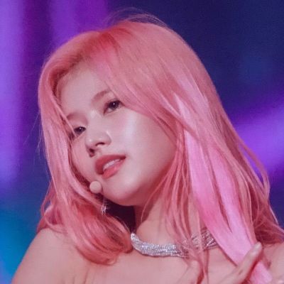 Sana Pink Hair, Sana Pink, Sana Icons, Blackpink Twice, Hair Icon, Sana Minatozaki, Sana Momo, Twitter Icon, Twice Sana