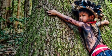 'Jair Bolsonaro, the president-elect of Brazil, might be the biggest single-person threat the Amazon rainforest has seen in a (111 signatures on petition) Corrupt Politicians, Indigenous Tribes, Amazon River, Indian Tribes, Amazon Rainforest, Beltane, Tree Hugger, Culture Travel, The Amazon