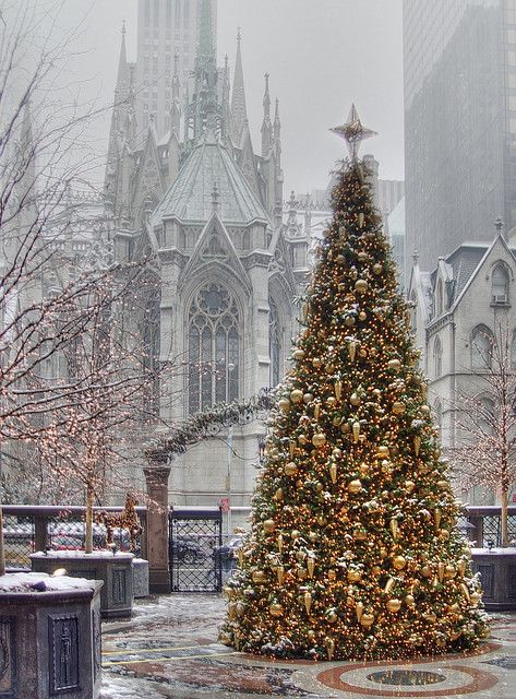 New York Palace Hotel (PHOTO) | Images courtesy of the New Y… | Flickr Christmas Tree Outside, New York Christmas Tree, Christmas Tree Photography, Christmas Tree Drawing, Nyc Christmas, Merry Christmas Pictures, Farmhouse Christmas Tree, Holiday Hotel, Winter Girl