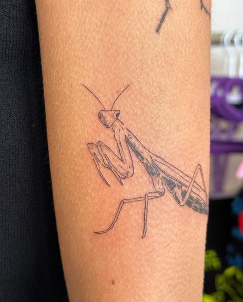 Pray Mantis Tattoo, Praymantis Tattoos, Praying Mantis Art, Cutesy Tattoos, Praying Mantis Tattoo, Mantis Tattoo, Jordan Tattoo, Diy Ink, Horse Tattoo Design