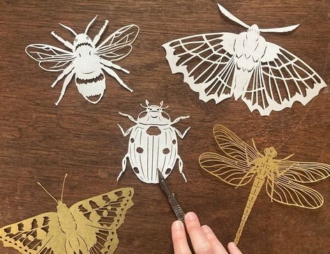 Paper Art Porfolio — Eleanor Chaney | HSP Conscious Creativity Coach & Artist Layered Papercut Art, Cicada Art, Paper Art Tutorial, Paper Cut Artists, Creative Coaching, Geometric Shapes Art, Paper Animals, Shape Art, Paper Cut Art