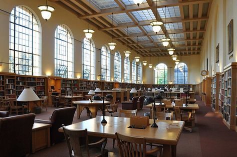 The Lane Reading Room | A beautiful reading room in Stanford… | Flickr Stanford Library, Green Library, The Lane, Stanford University, Grad School, Reading Room, Image Search, University, Google Search