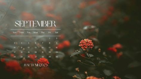 Templates October 2023 Calendar Desktop Wallpaper, October 2023 Calendar Wallpaper Laptop, October Desktop Wallpaper 2024, October Calendar 2022 Aesthetic, November 2022 Calendar Wallpaper Laptop, Desktop Wallpaper Fall, Nature Calendar, Fall Wallpaper, White Aesthetic