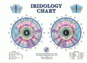 2021 Update on Reuben Schwartz Iridology Chart, Holistic Tips, Body Chart, Nutrition Chart, Reflexology Chart, Eye Chart, Printable Chart, Body Systems, Alternative Health