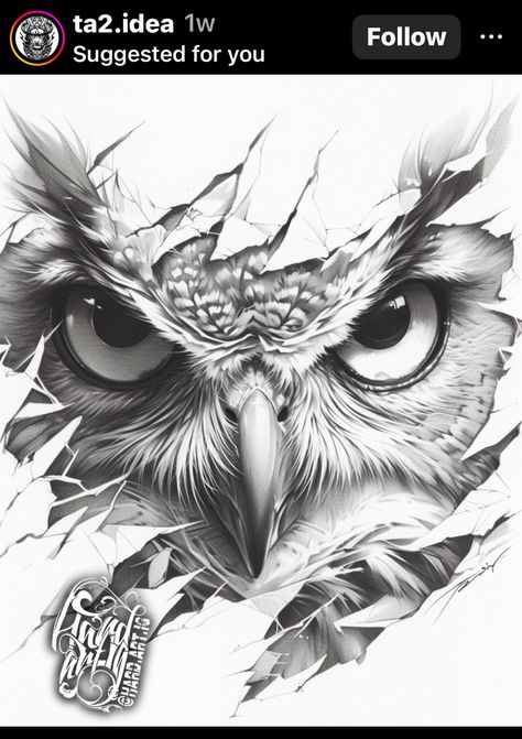 Owl Wing Tattoo, Owl Face Tattoo, Owl Eyes Tattoo, Owl Forearm Tattoo, Owl Eye Tattoo, Indian Tattoo Design, Owl Tattoo Drawings, Bald Eagle Art, Neo Tattoo