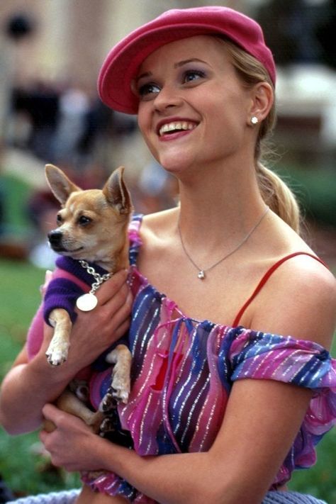 You're Wrong If You Don't Think Chihuahuas Are The Best Dogs On This Good Earth Bruiser Woods, Legally Blonde Movie, Blonde Movie, Elle Woods, Legally Blonde, Movie Fashion, Reese Witherspoon, Movie Photo, Terminator