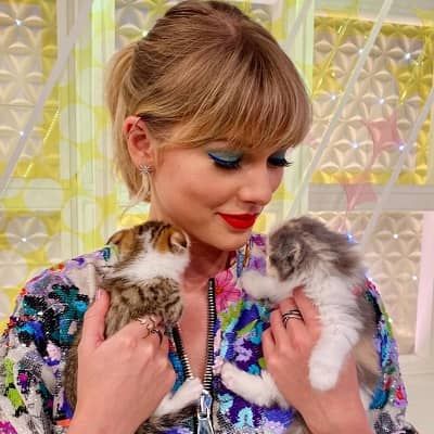 Taylor Swift Bio, Taylor Swift Biography, Taylor Swift Cat, Blue Eye Color, Entertainer Of The Year, Estilo Taylor Swift, Olivia Benson, Meredith Grey, Mtv Videos