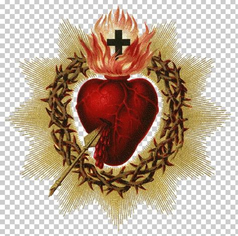 Amor Aesthetic, Friday Gif, Sacred Heart Art, Arrow Illustration, Sacred Heart Tattoos, Catholic Wallpaper, Eucharistic Adoration, Sacred Hearts, Heart Clipart