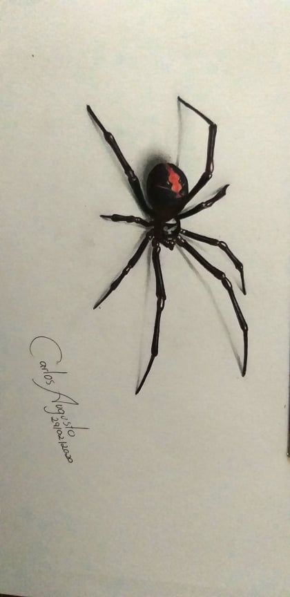 Aranha Viúva negra 3d Spider Drawing, 3d Spider Tattoo Design, Black Widow Spider Tattoo Design, Black Widow Tattoo Design, Black Widow Spider Drawing, Widow Spider Tattoo, Spider Draw, Spider Tattoo Design, Black Widow Drawing