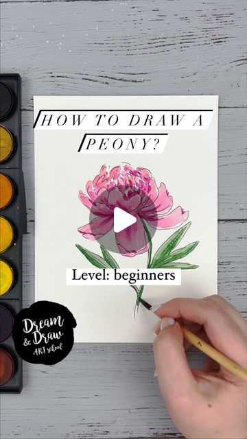 DRAWING TUTORIALS🔹WATERCOLOR🔹SKETCHING on Instagram: "How to draw a peony?🌸💖  ⭐️Join my Patreon art lesson subscription link in my bio @dreamanddraw.school  🎨Get my free demo lesson link in my bio👆  New video tutorial for watercolor sketching beginners😍  #watercolor #watercolour #watercolorsketching #artlesson #arttutorial #watercolortutorial #sketchtutorial #dreamanddrawschool" How To Draw Peony Step By Step, How To Draw A Peony, Watercolor Art For Beginners Tutorial, Peony Drawing Tutorial, Sketching Beginners, Draw A Peony, Watercolor Flower Tutorial, Peonies Drawing, Drawing Peony